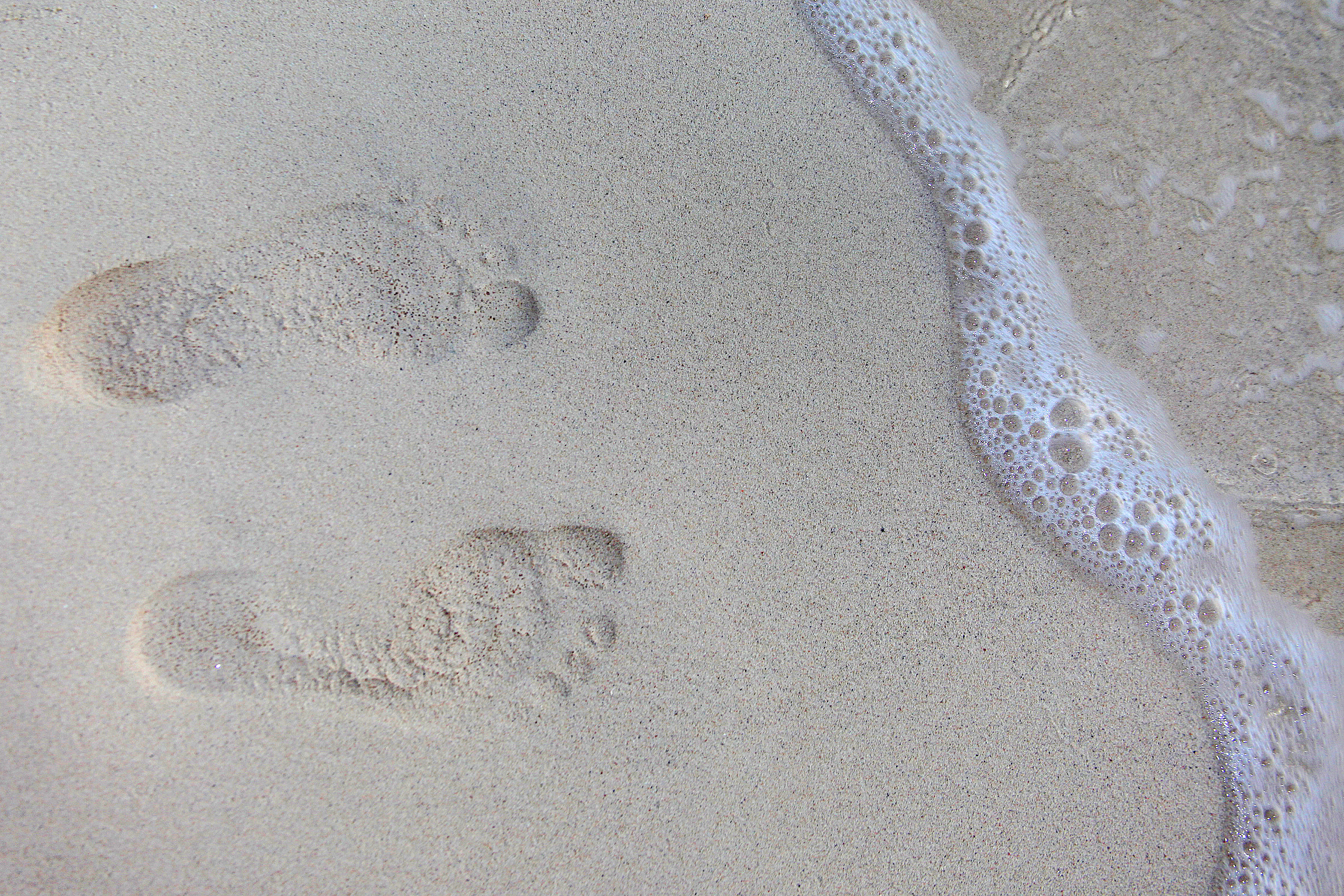 Bimini Foot Prints