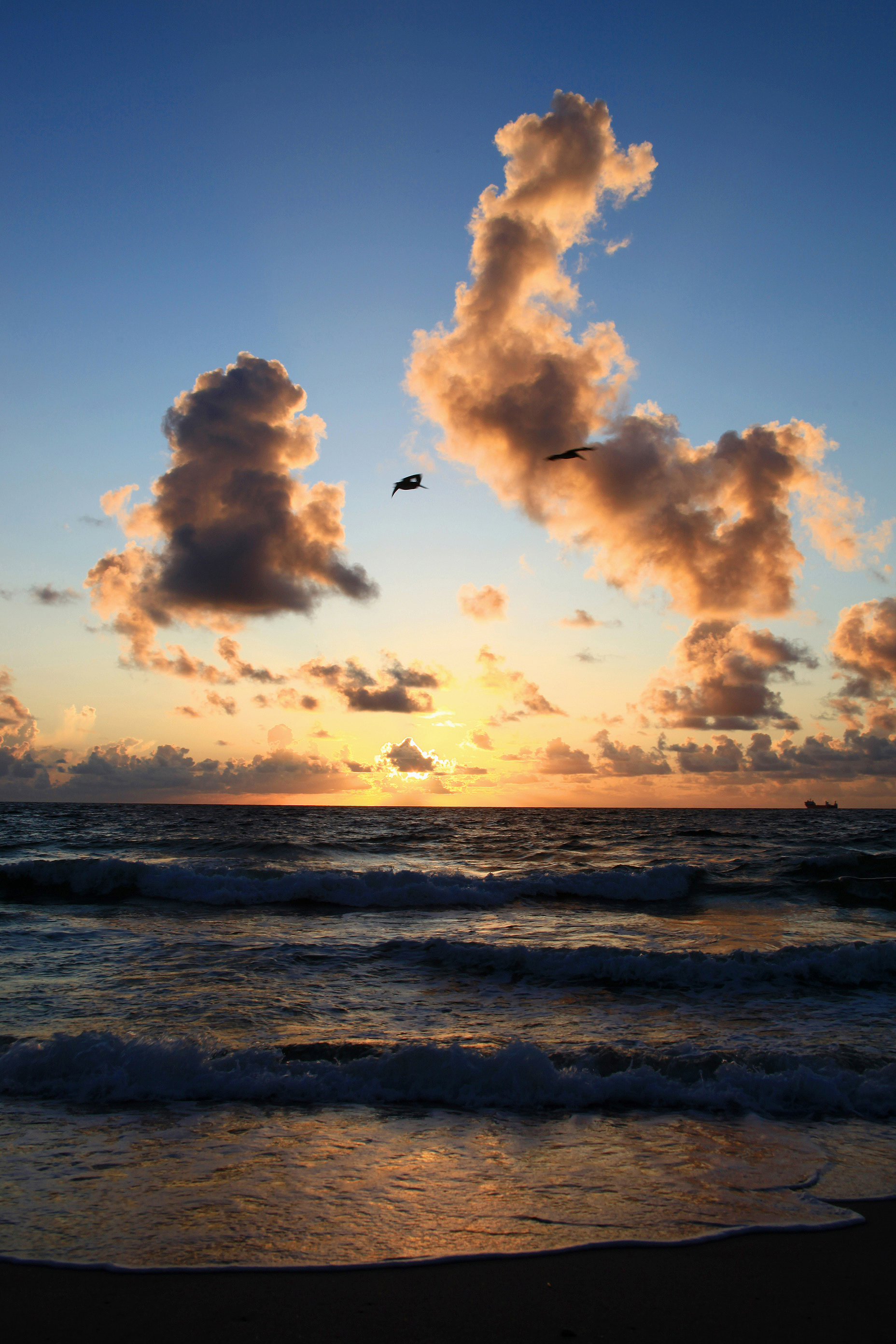 Fort Lauderdale Sunrise 3