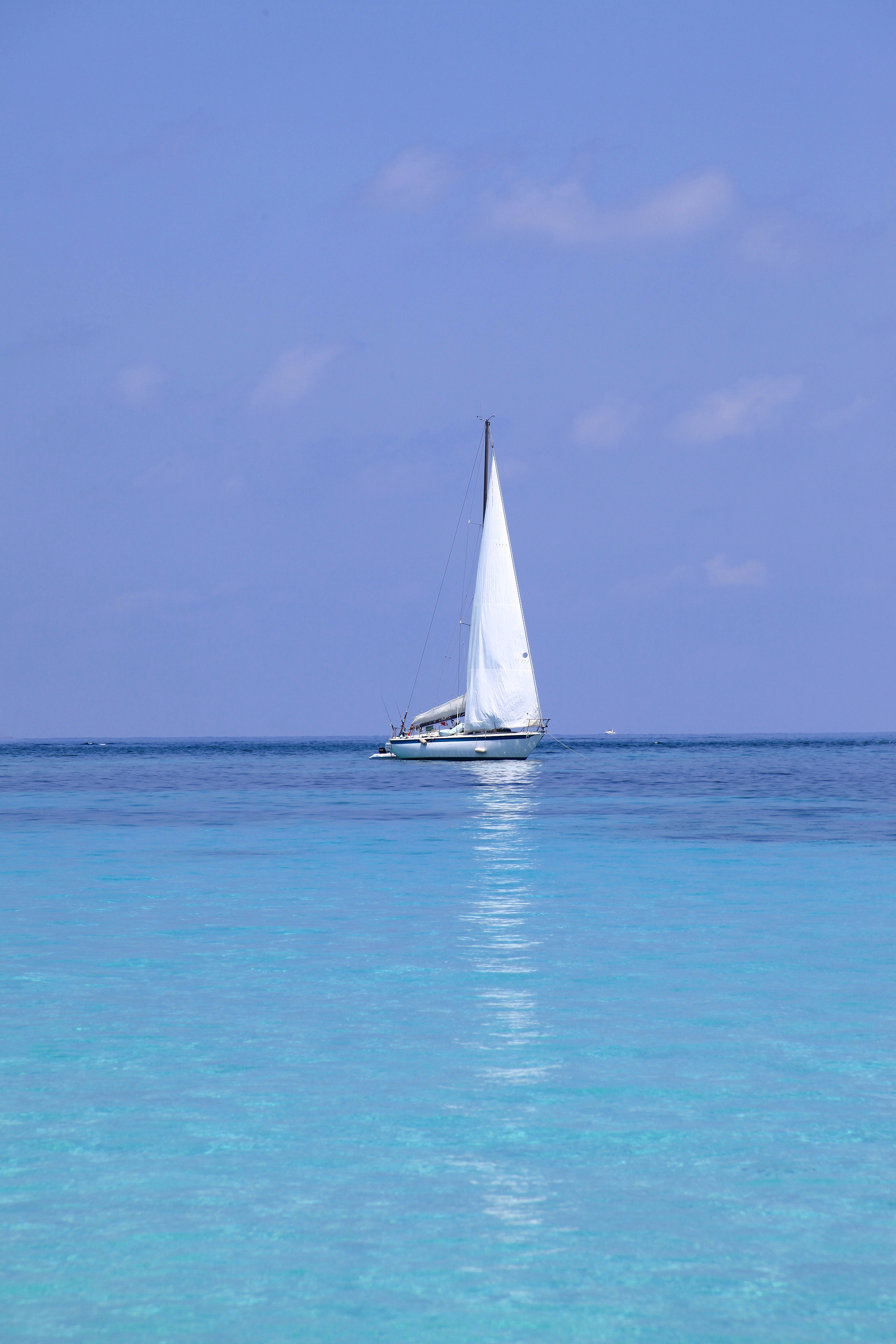 Bimini Velero