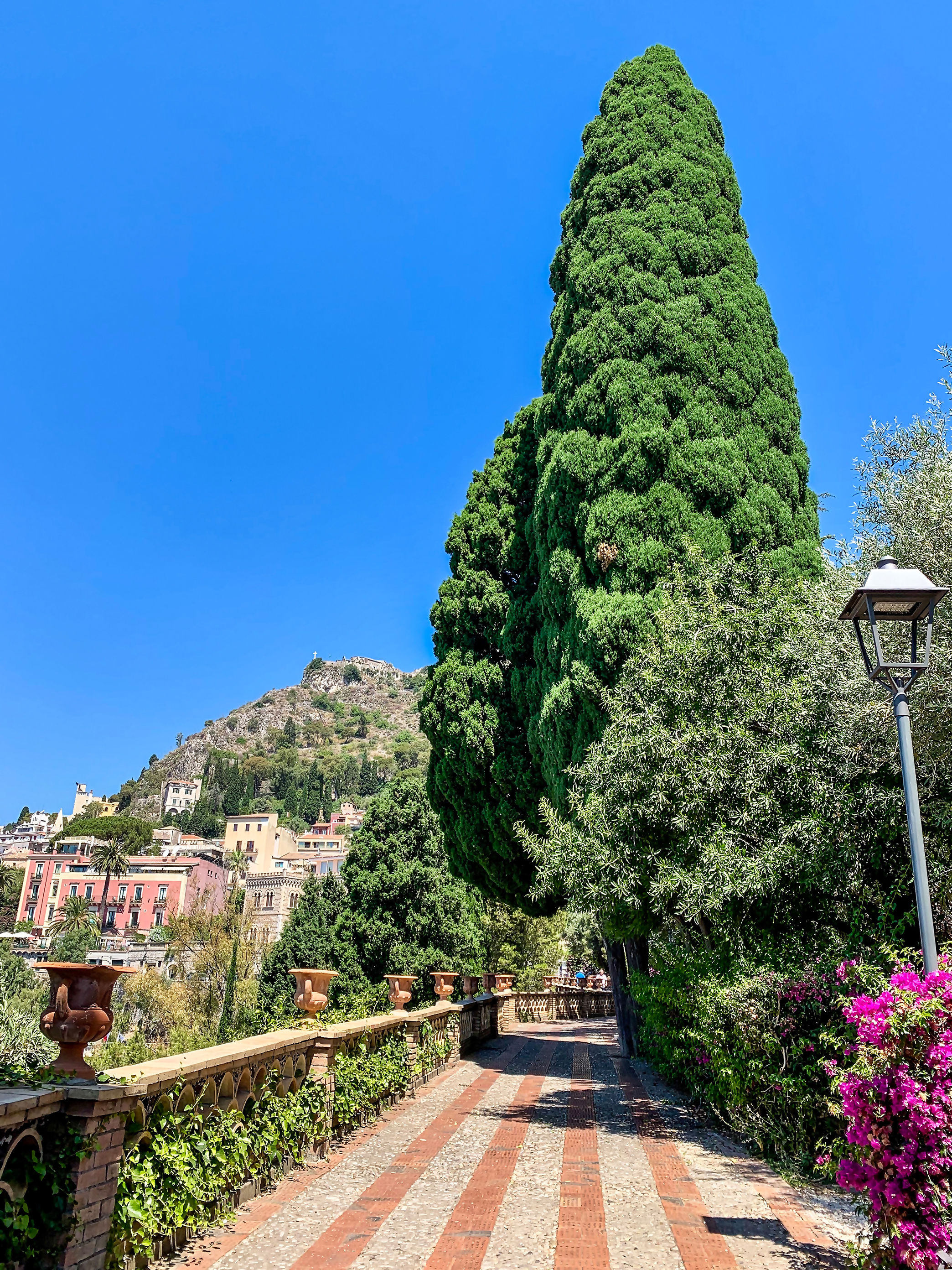 Taormina Pini