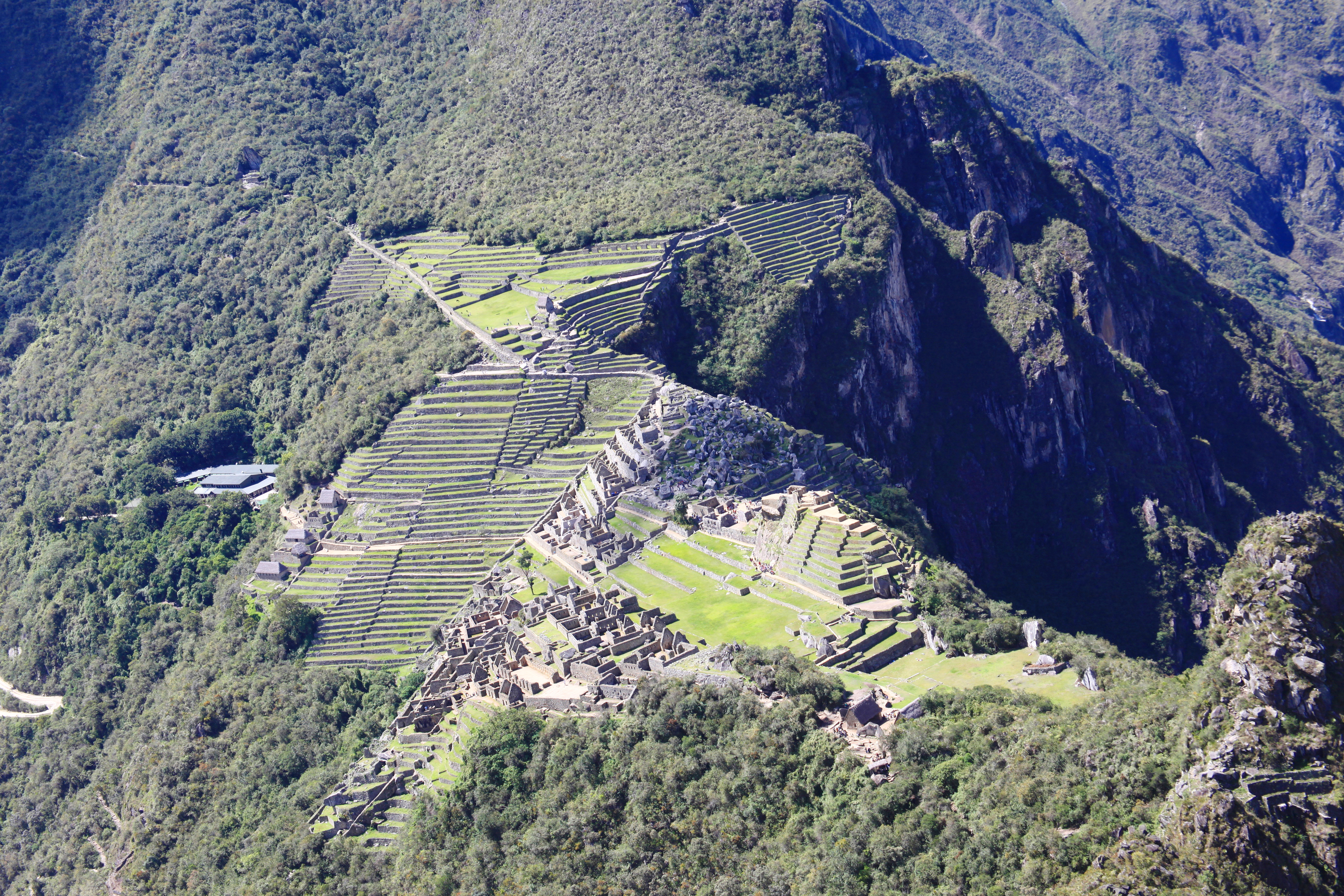 Cuzco Condor