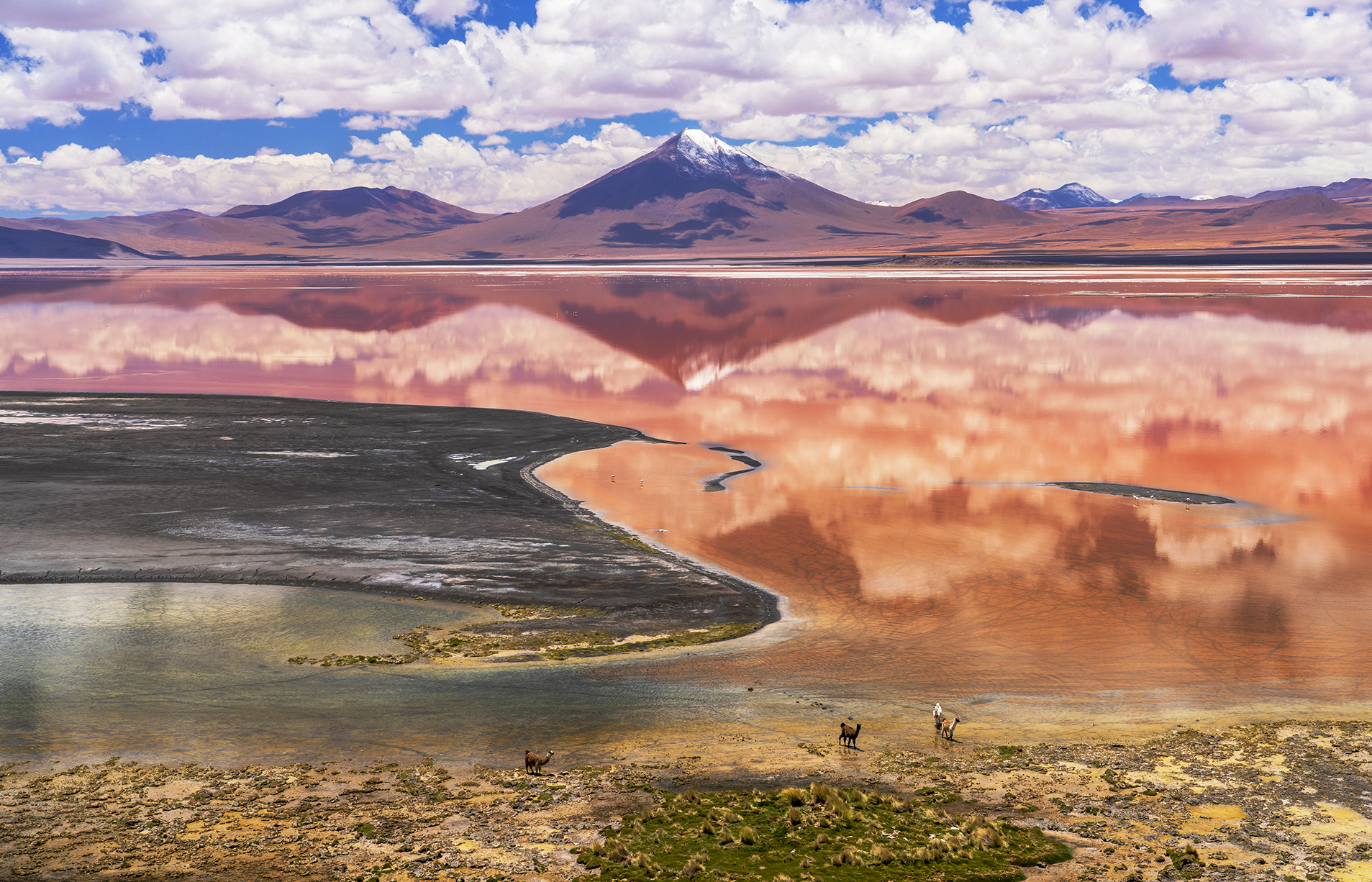 Laguna Colorada 1