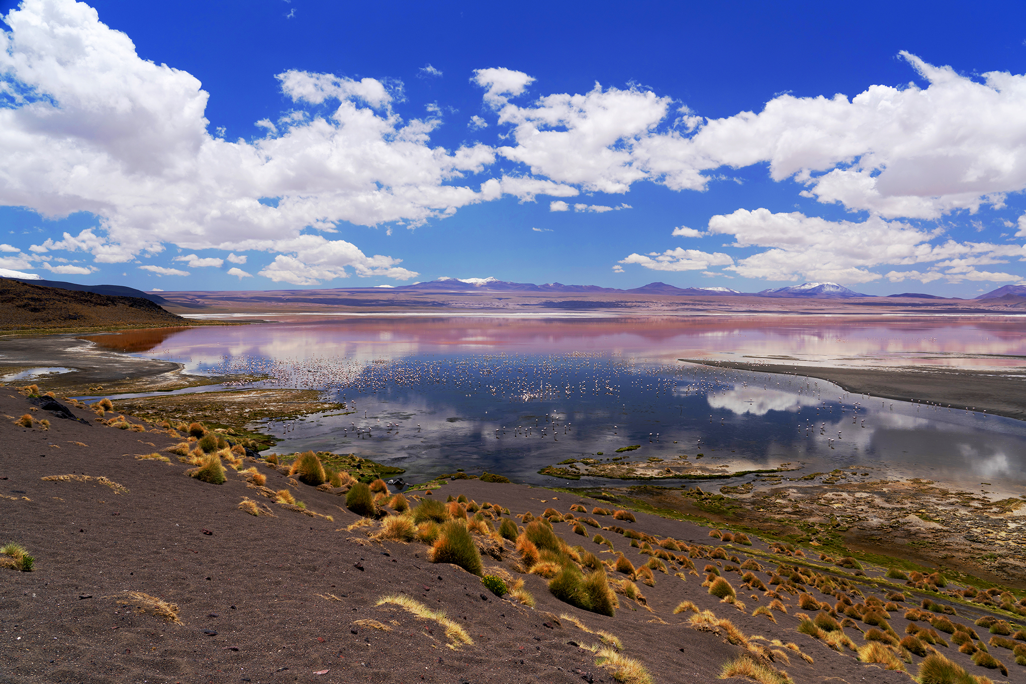 Laguna Colorada 2