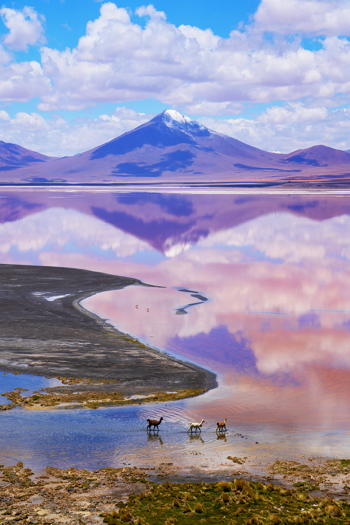 Laguna Colorada 3