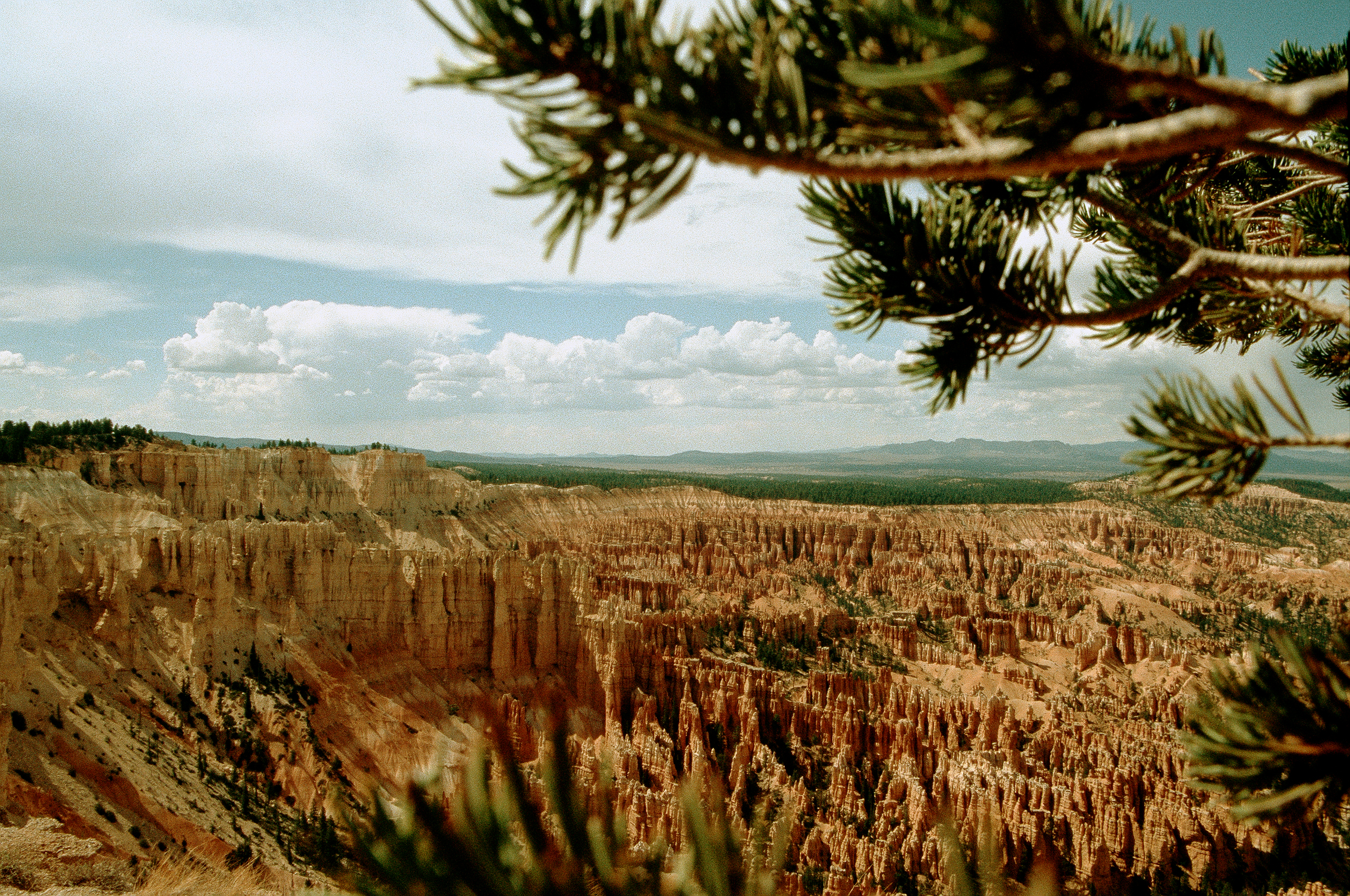 Utah Bryce