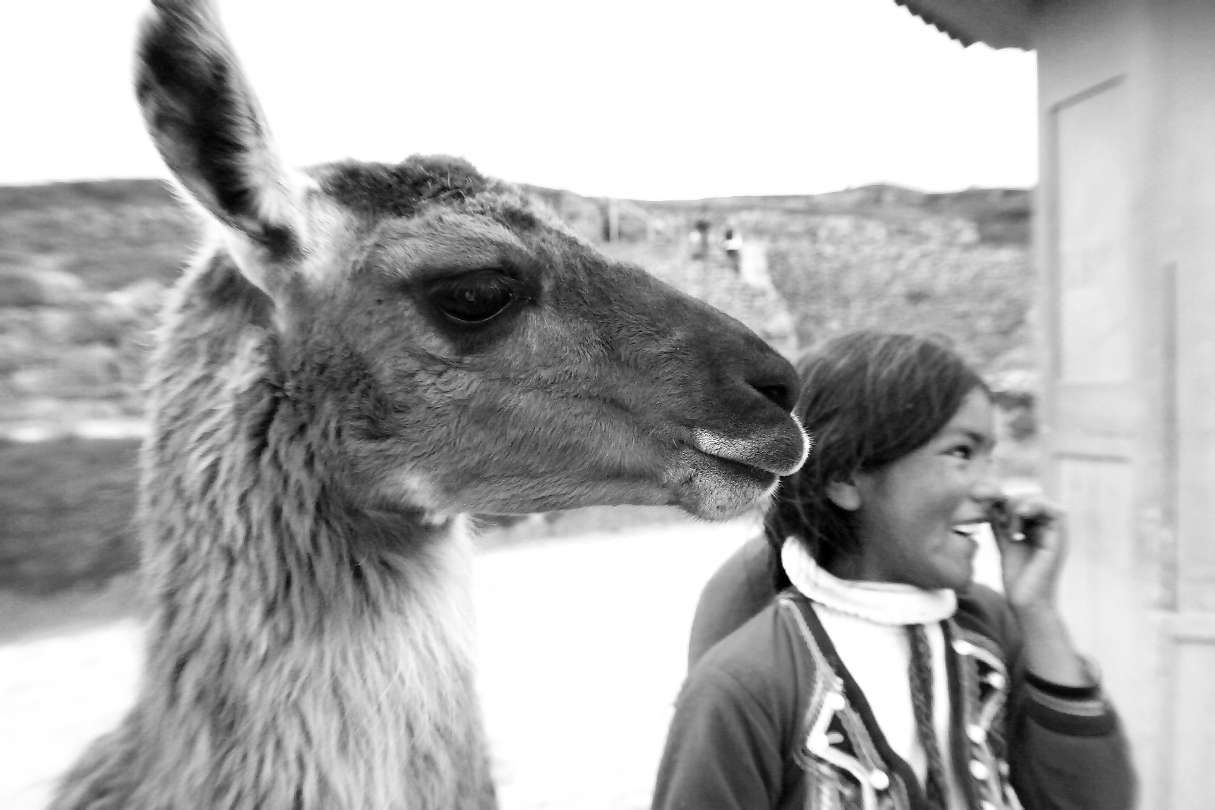 Alpaca & Girl B/W