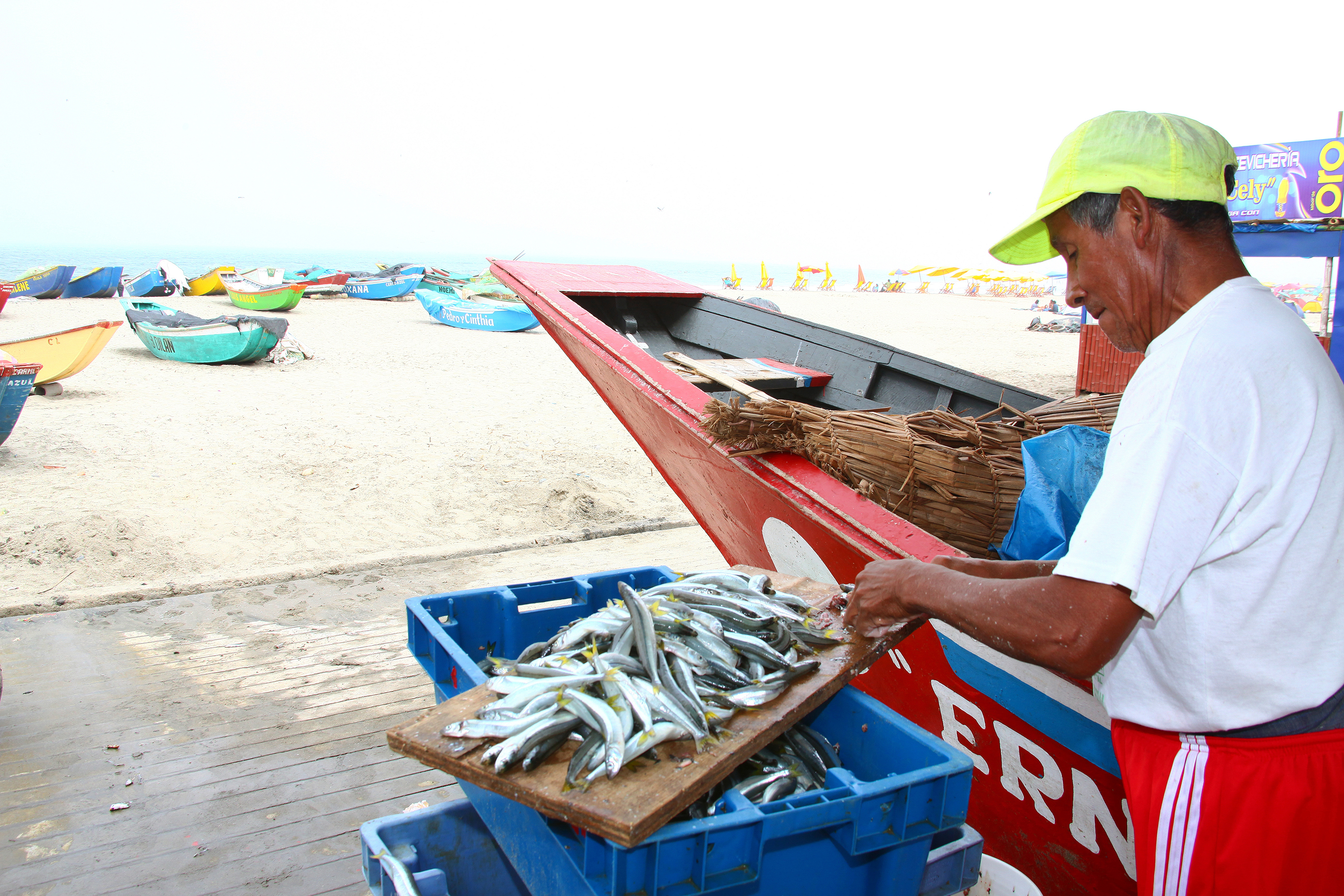 Pescador