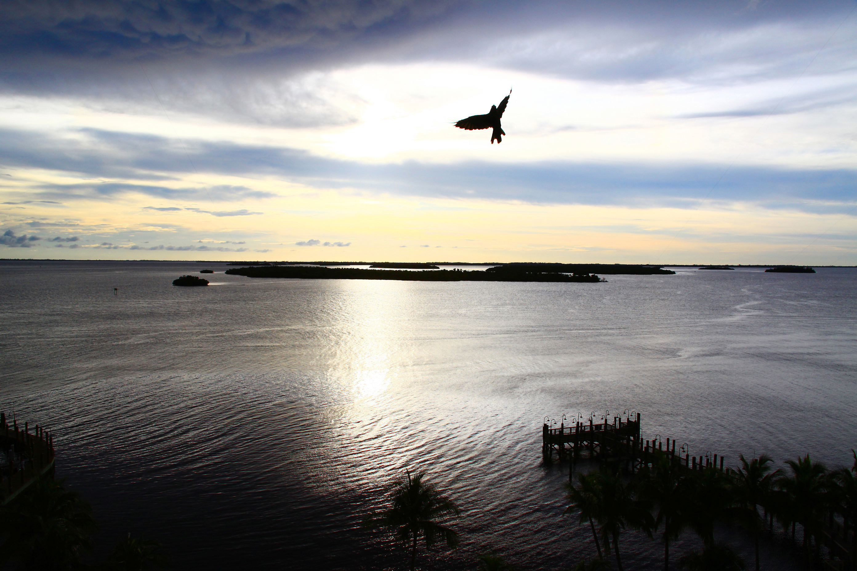 Bahia San Carlos 1